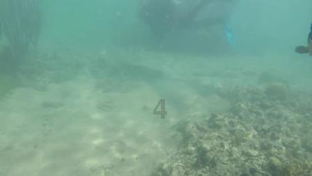 “5年0投诉”贵州这所司法鉴定中心凭何做到？